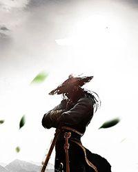 直播教人习武后我爆红了